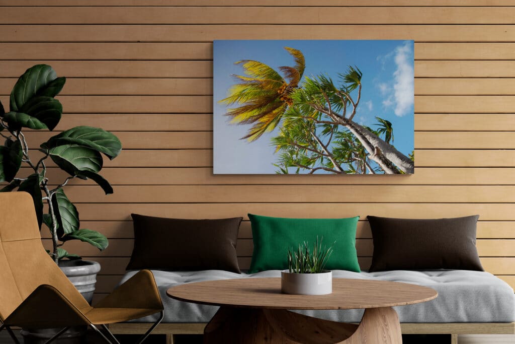 image paysages naturels de la Martinique